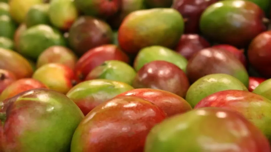 Os 11 Benefícios da manga: Mais do que apenas uma fruta suculenta 2 manga- fruta rica em açúcar
