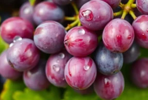 10 Benefícios da uva para saúde 5 benefícios da uva para saúde