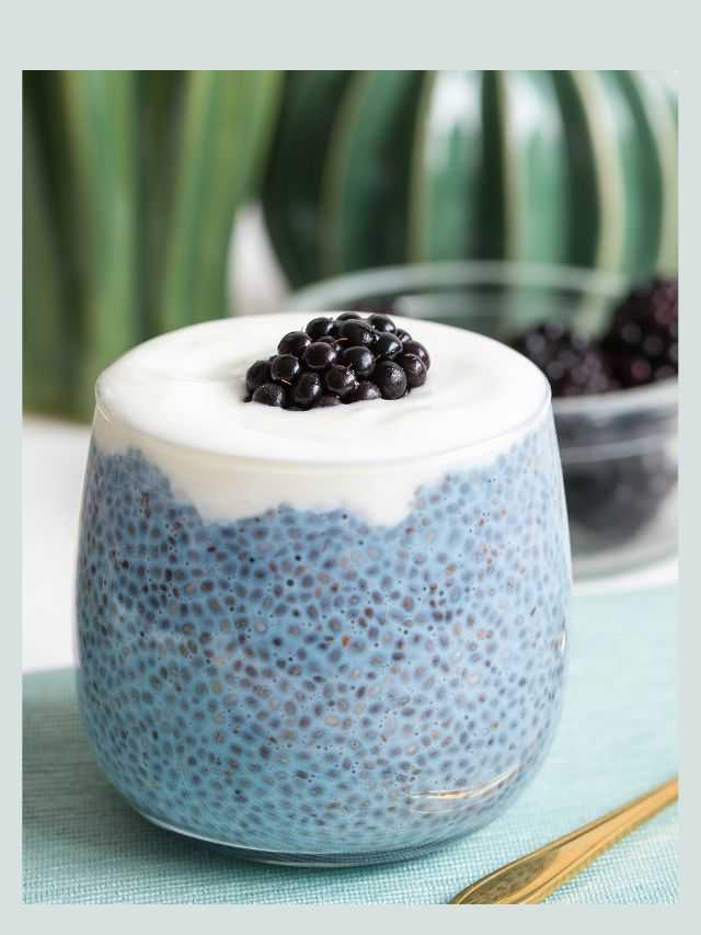 Dicas Saúde na Net - Receitas Naturais 3 pudim de chia1