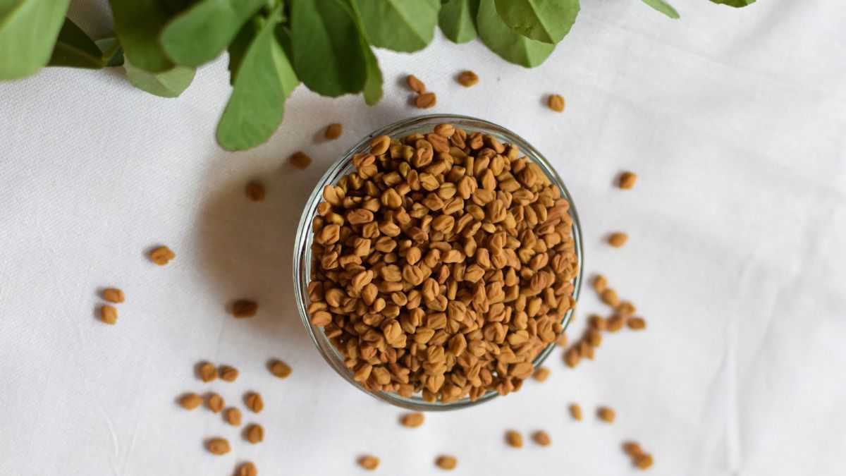 Feno grego riquíssimo em proteína ótimo aumentar a massa muscular