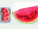 Benefícios da Melancia