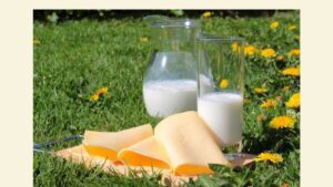 3 Receitas com leite vegetal
