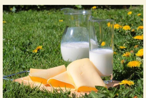 3 Receitas com leite vegetal