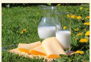 Leite vegetal uma opção saudável para sua dieta e bem-estar 4 leite vegetal uma opção saudável