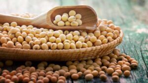 Soja é Bom para Menopausa? Descubra os benefícios comprovados e minha experiência pessoal