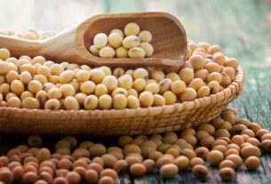 Soja é bom para menopausa? Descubra os benefícios comprovados e minha experiência pessoal 3 Soja é Bom para Menopausa?