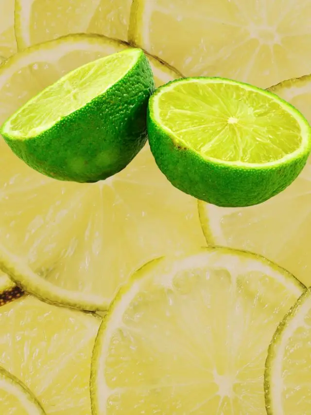Dicas Saúde na Net - Receitas Naturais 3 kildary web stories 10