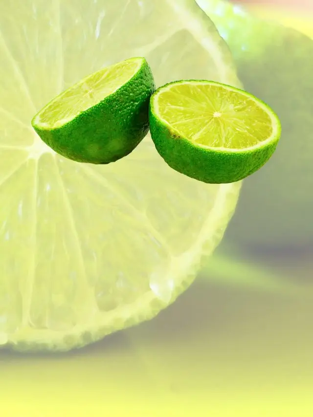 Dicas Saúde na Net - Receitas Naturais 4 kildary web stories 4 3