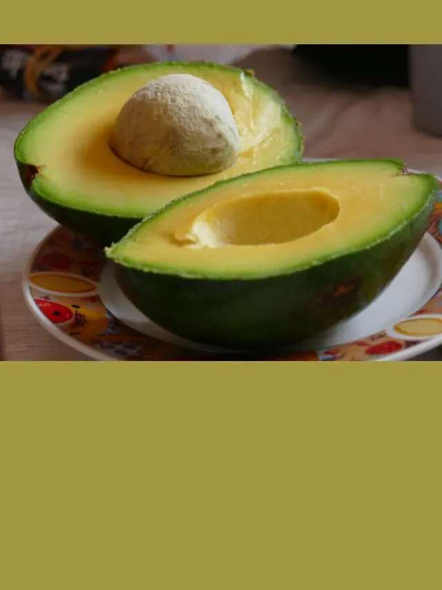 Dicas Saúde na Net - Receitas Naturais 1 kildary web stories 5 2