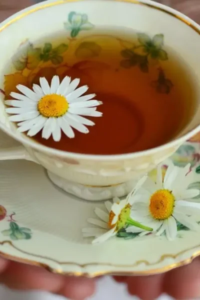 10 remédios caseiros para gordura no fígado