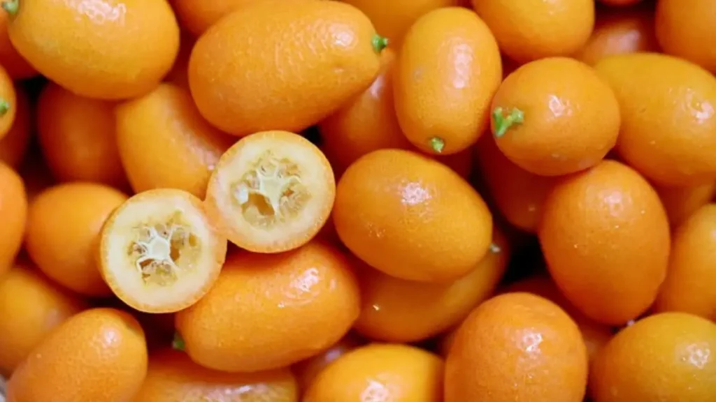 Frutas do nordeste: 18 opções deliciosas e cheias de benefícios para saúde 2 Frutas Menos Conhecidas frutas do nordeste