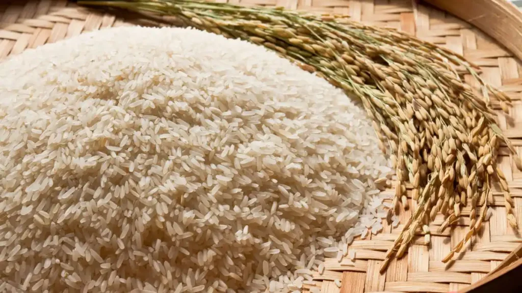 Como substituir o arroz branco na sua dieta - 5 Alternativas 2 substituir o arroz branco