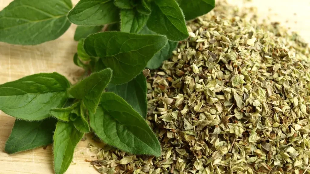 7 Benefícios do cha de orégano 2 chá de orégano benefícios